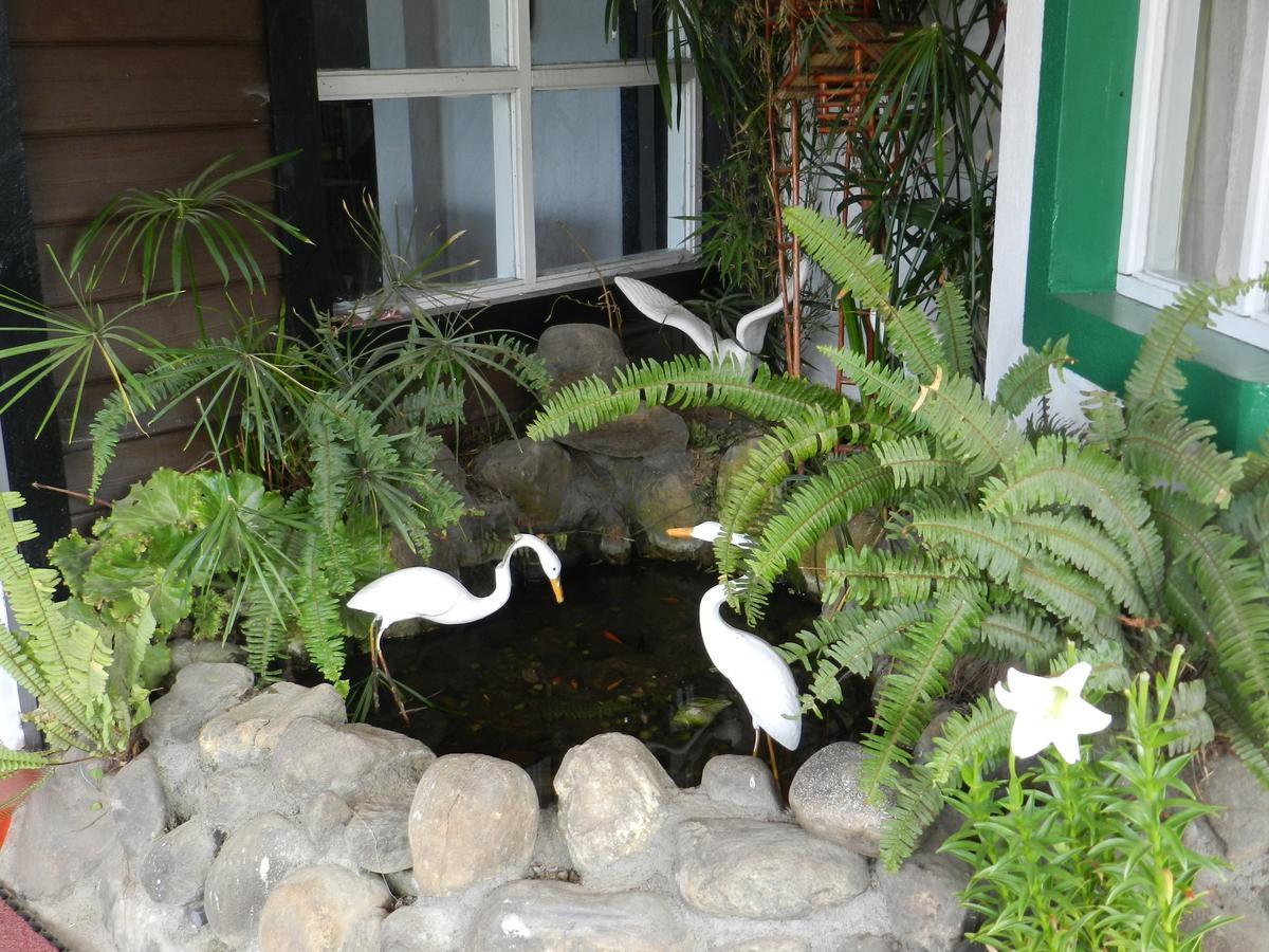 Eeescart Resort Nuwaraeliya Νουβάρα Ελίγια Εξωτερικό φωτογραφία